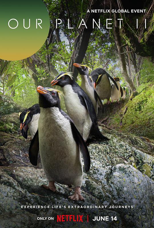 我们的星球 第二季 Our Planet Season 2 (2023) / Our Planet II